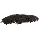 Petit tournesol noir 1 Kg Manitoba