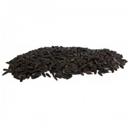 Petit tournesol noir 1 Kg Manitoba
