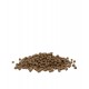 Opti life Kitten Chicken Versele Laga - croquettes pour chaton - sac de 1 Kg