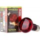Komodo Ampoule infrarouge 50W