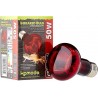 Komodo Ampoule infrarouge 50W