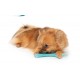 Zeus Duo Stick turquoise jouet pour chien Parfum Poulet