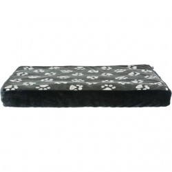 Coussin Jimmy 100X70 cm gris clair