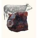 Truffe Délice Genou de boeuf