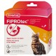 Beaphar Pipettes X 4 Fiprotec chat