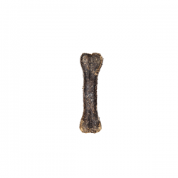 Canigourmand Os de Tripes L