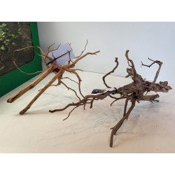 Racine Fingerwood 20-30 cm Hobby