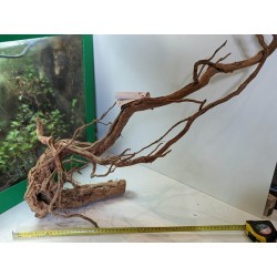 Décor racine Legno dragon skin 60-90cm