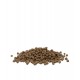 Opti life Kitten Chicken Versele Laga - croquettes pour chaton - sac de 2.5 Kg