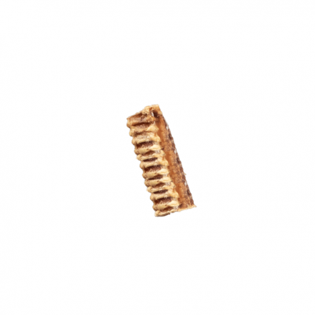 Canigourmand Trachées de Boeuf 15cm 500g