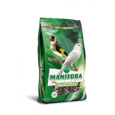 Mélange haute germination Manitoba 2.5 Kg