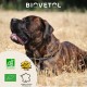 Biovetol Probiotiques Bio Regul Transit grand chien 112 g