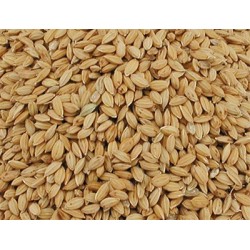 Versele Laga Riz paddy 20 Kg