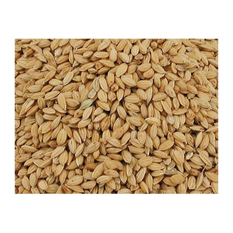 Versele Laga Riz paddy 20 Kg
