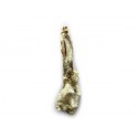 Vadigran Oreille de lapin avec poil vrac