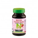 Nekton Crested Gecko fraise 50g
