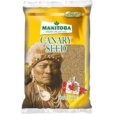 Alpiste canadien 5 Kg