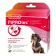 Beaphar Pipettes X 4 Fiprotec petit chien 2-10kg