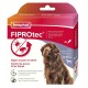 Beaphar Pipettes X 4 Fiprotec très grand chien 40-60kg