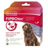 Beaphar Pipettes X 4 Fiprotec très grand chien 40-60kg