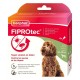 Pipettes X 3 Fiprotec grand chien 40-60 Kg