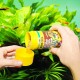 JBL ProNovo Bel flakes M 100 ml