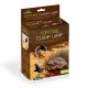 Reptiles Planet Tortoise Clamp Lamp