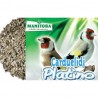 Manitoba Carduelidi Platino chardonneret 2.5 Kg
