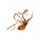 Décor racine Legno Red Wood 50-70cm