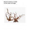 Décor racine Red Spider King 25-45 cm