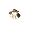 Scalare roches + racines Wood Fossil