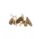 Scalare roches + racines Alveolate Rock