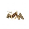 Scalare roches + racines Alveolate Rock