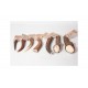 bois de cerf naturel XS