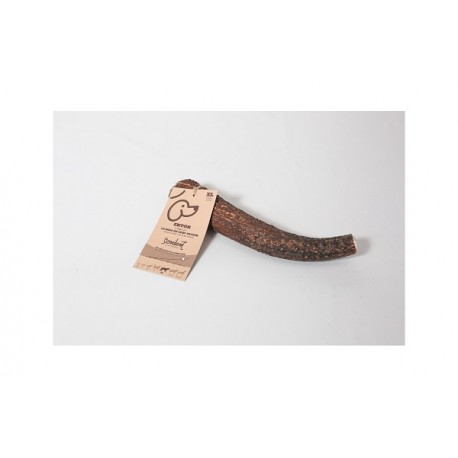 bois de cerf naturel XL