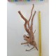 Décor racine Legno Red Wood 40-45 cm