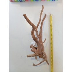Décor racine Legno Red Wood 40-45 cm