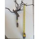 Hobby Racine Fingerwood Dark 40-60 cm