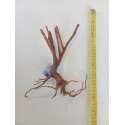 Décor racine Red Spider King 25-45 cm