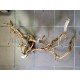 Décor racine Legno dragon skin 60-90cm