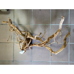 Décor racine Legno dragon skin 60-90cm