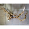 Décor racine Legno dragon skin 60-90cm