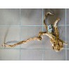 Décor racine Legno dragon skin 40-60cm
