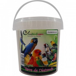 Home protect terre de diatomée 250g