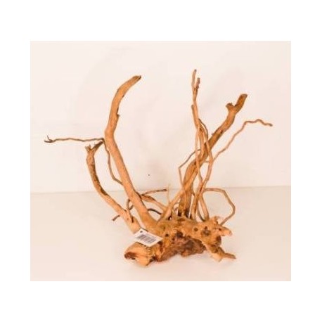 Décor racine araignée T2