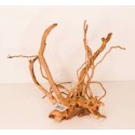Décor racine araignée T2 20-30 cm