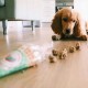 Cooka's Cookies Beijinhos Friandises Croquantes pour Chien 50g