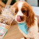 Cooka's Cookies Beijinhos Friandises Croquantes pour Chien 50g