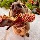 Cooka's Cookies Candy Crush Pack Friandises pour chien 190g