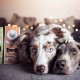 Cooka's Cookies Beef Bones 130g